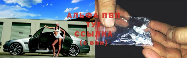 apvp Каменногорск