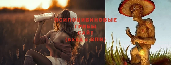 apvp Каменногорск
