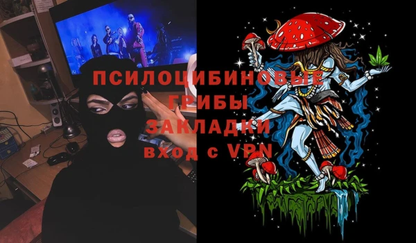 apvp Каменногорск