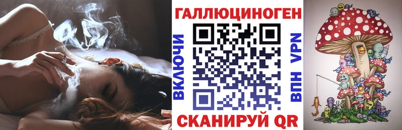 Псилоцибиновые грибы GOLDEN TEACHER  Купить  Нахабино 